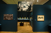 Fig. 48. Installation at the New-York Historical Society