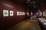Fig. 7: Installation of Daumier exhibition: Les caricatures de moeurs sous la Monarchie de Juillet